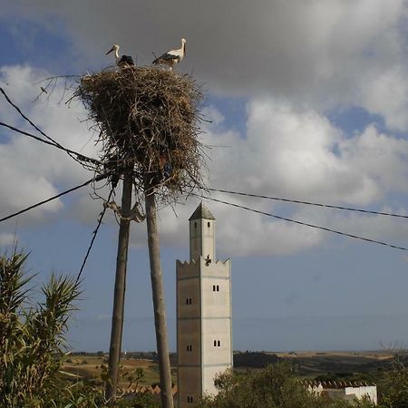 Hotel Darmimouna Asilah Exterior foto