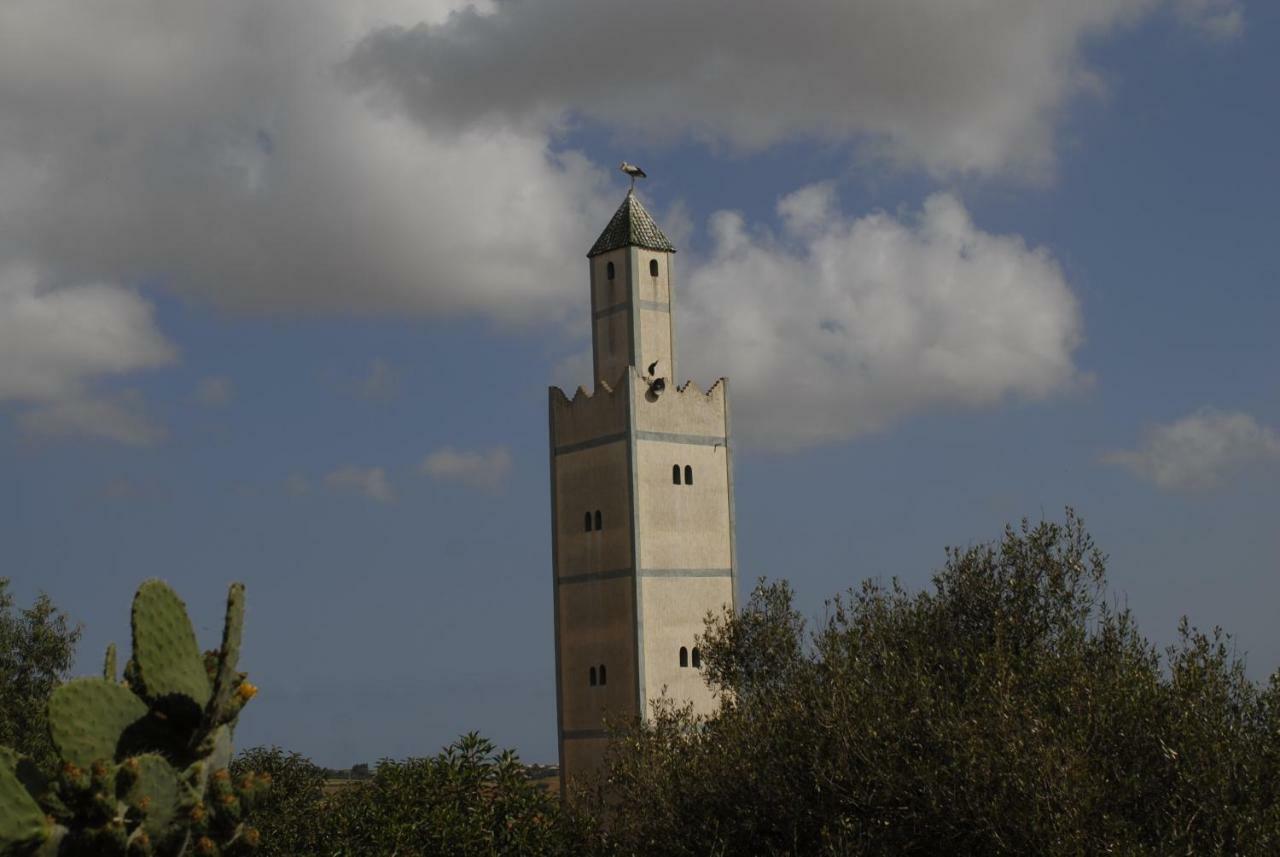 Hotel Darmimouna Asilah Exterior foto