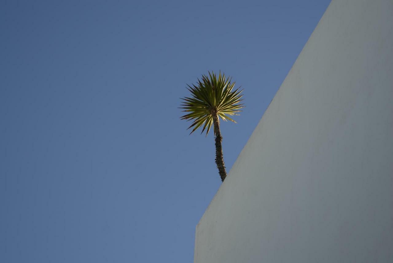 Hotel Darmimouna Asilah Exterior foto