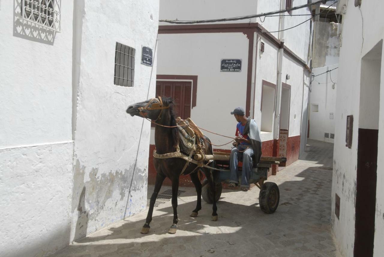 Hotel Darmimouna Asilah Exterior foto